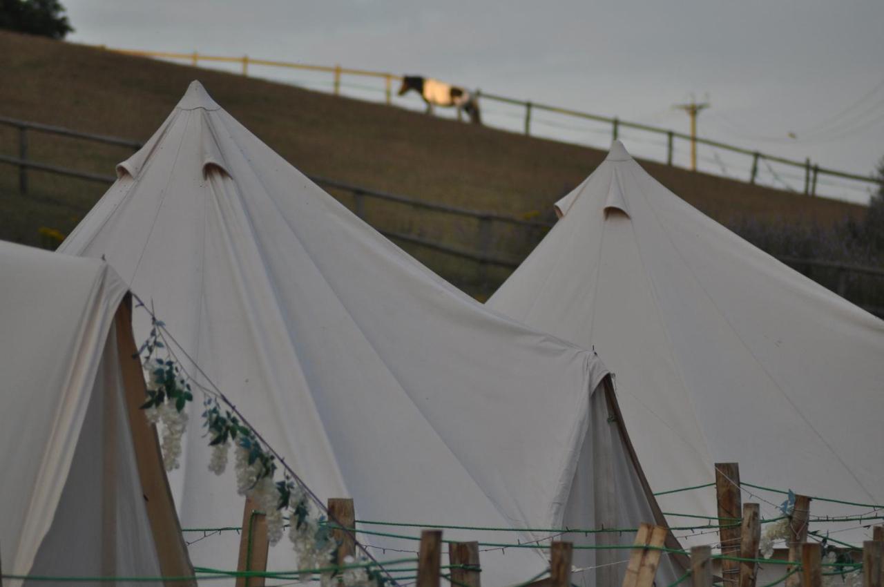Walnut Tree Glamping Otel Sturry Dış mekan fotoğraf